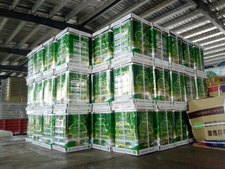 Wanneng glue warehouse